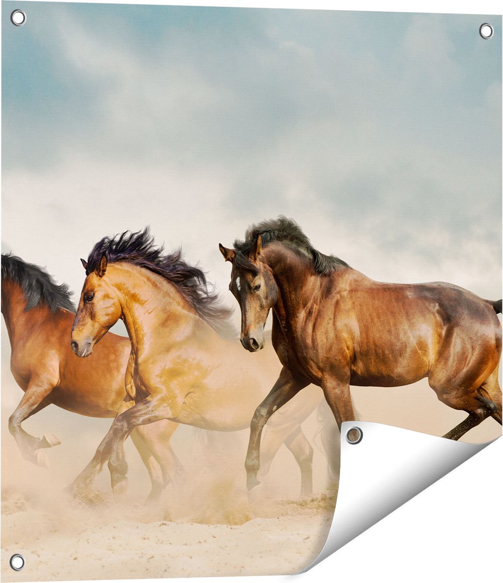 Gards Tuinposter Drie Bruine Paarden - 60x60 cm - Tuindoek - Tuindecoratie - Wanddecoratie buiten - Tuinschilderij Multikleur
