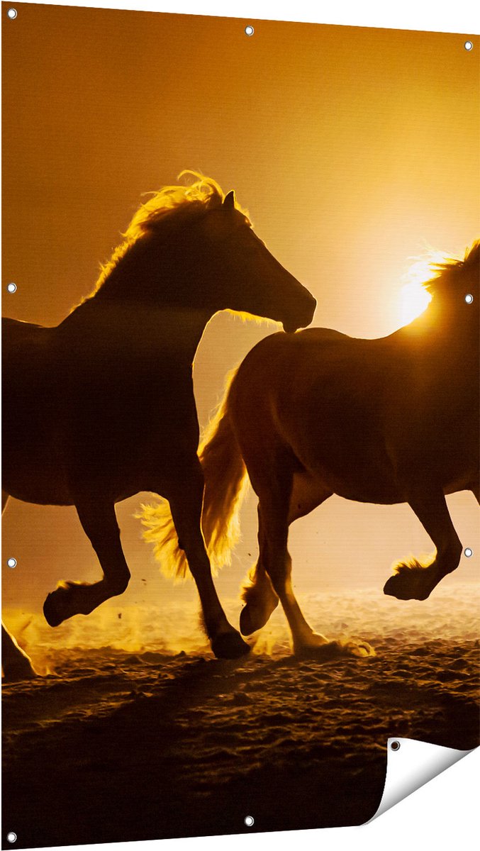 Gards Tuinposter Silhouet van Twee Paarden - 100x150 cm - Tuindoek - Tuindecoratie - Wanddecoratie buiten - Tuinschilderij Multikleur