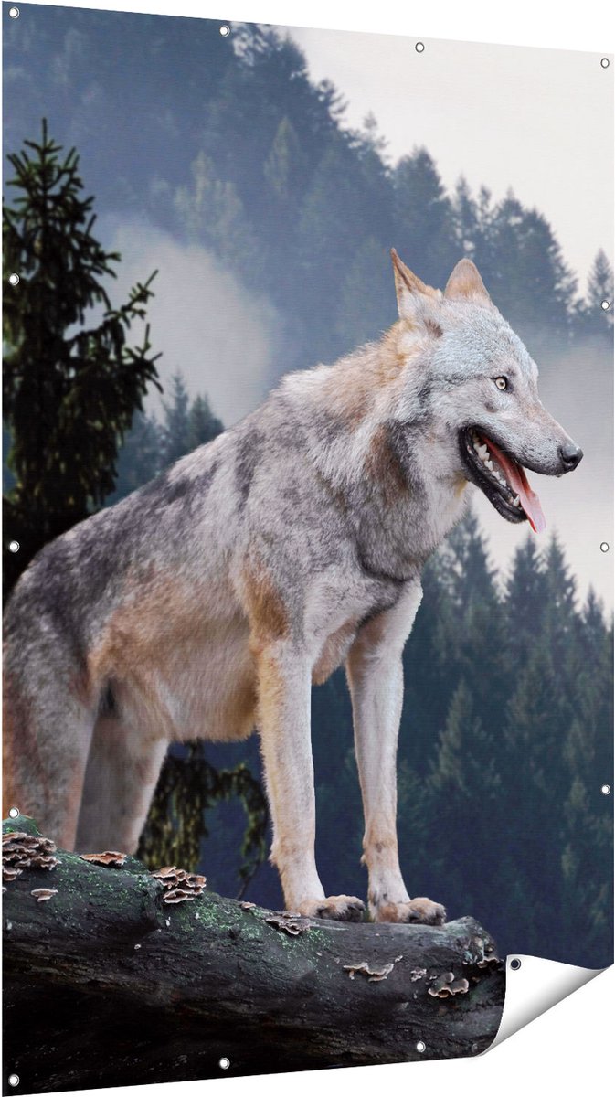 Gards Tuinposter Grijze Wolf in de Bossen - 120x180 cm - Tuindoek - Tuindecoratie - Wanddecoratie buiten - Tuinschilderij Multikleur