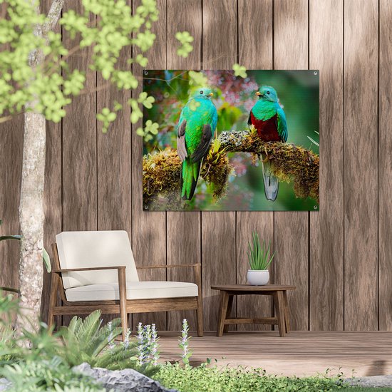 Gards Affiche de jardin Deux Vogels Quetzal verts sur une branche - 100x80 cm - Toile jardin - Décoration de jardin - Décoration murale extérieur - Tableau jardin