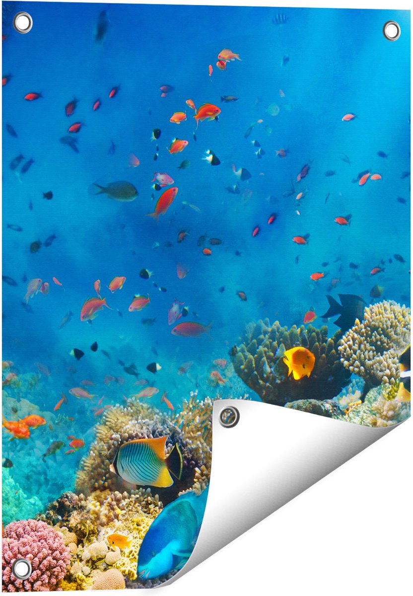 Gards Tuinposter Onderwater Vissen met Koraal in de Zee - 40x50 cm - Tuindoek - Tuindecoratie - Wanddecoratie buiten - Tuinschilderij Multikleur