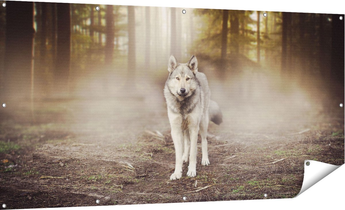 Gards Tuinposter Grijze Wolf in het Bos - 180x90 cm - Tuindoek - Tuindecoratie - Wanddecoratie buiten - Tuinschilderij Multikleur