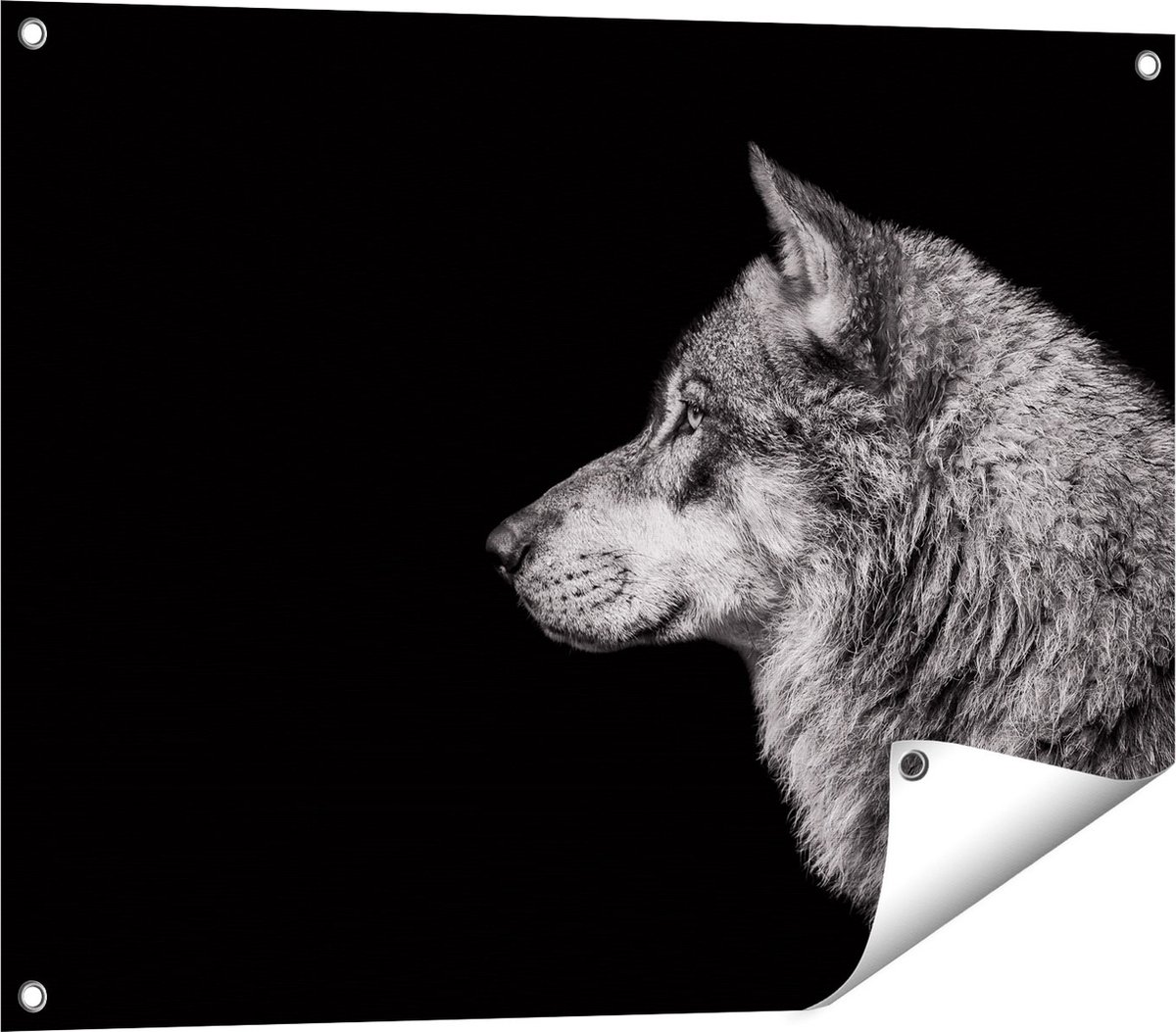 Gards Tuinposter Wolvenkop - Wolf - Zwart Wit - 80x60 cm - Tuindoek - Tuindecoratie - Wanddecoratie buiten - Tuinschilderij Multikleur