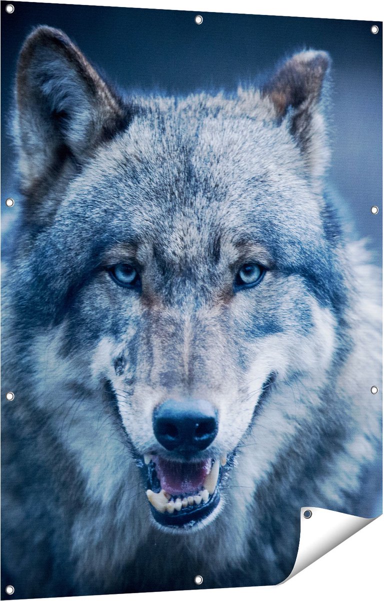 Gards Tuinposter Wolvenkop met Blauwe Ogen - Wolf - 90x120 cm - Tuindoek - Tuindecoratie - Wanddecoratie buiten - Tuinschilderij Multikleur