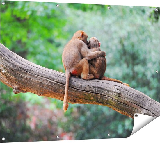 Gards Poster de jardin Deux singes amis sur une branche dans un arbre - 120x90 cm - Toile de jardin - Décoration de jardin - Décoration murale extérieure - Peinture de jardin