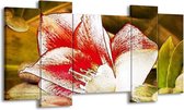 GroepArt - Schilderij - Bloem - Wit, Rood, Geel - 120x65 5Luik - Foto Op Canvas - GroepArt 6000+ Schilderijen 0p Canvas Art Collectie - Wanddecoratie