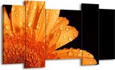 GroepArt - Schilderij - Bloem - Zwart, Oranje - 120x65 5Luik - Foto Op Canvas - GroepArt 6000+ Schilderijen 0p Canvas Art Collectie - Wanddecoratie