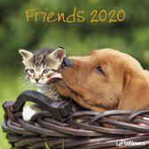 Calendrier des Friends 2020 Broschüren