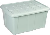 Plasticforte Opbergbox met deksel - Mintgroen - 60L - kunststof - 63 x 46 x 32 cm