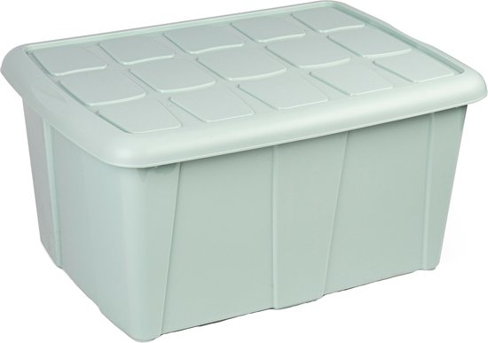 Plasticforte Opbergbox met deksel - Mintgroen - 60L - kunststof - 63 x 46 x 32 cm