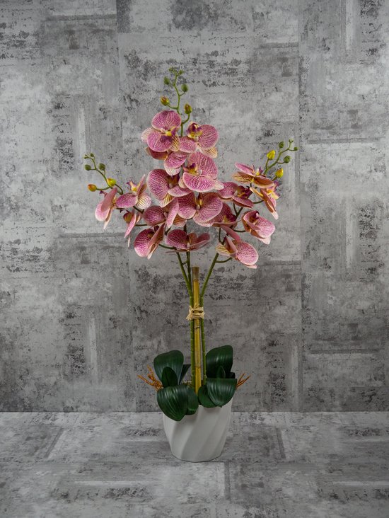 Orchidee - Phalaenopsis - Fuchsia - Kunstplant - H 75 cm Ø 60 cm - Dromist