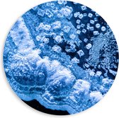 PVC Schuimplaat Muurcirkel - Textuur in Verschillende Tinten Blauw - 80x80 cm Foto op Muurcirkel (met ophangsysteem)
