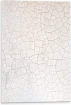 PVC Schuimplaat- Stenen Textuur in Wand - 40x60 cm Foto op PVC Schuimplaat