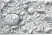 Dibond - Scheuren Patroon in Stenen Ondergrond - 75x50 cm Foto op Aluminium (Met Ophangsysteem)