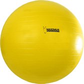 Hofman Maximus Power Play Ball – Speelgoed voor Paarden – Geel - 75 cm