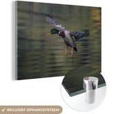 MuchoWow® Glasschilderij 90x60 cm - Schilderij acrylglas - Eend - Water - Vogel - Foto op glas - Schilderijen