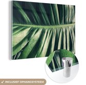 MuchoWow® Glasschilderij 30x20 cm - Schilderij acrylglas - Bladeren - Tropisch - Jungle - Foto op glas - Schilderijen