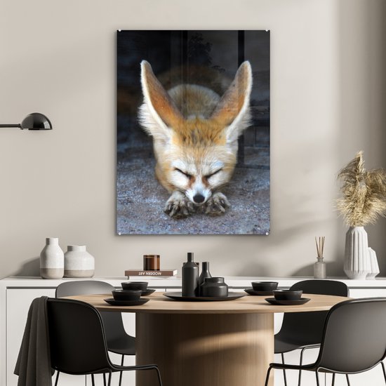Un renard Fennec endormi sur le sol Plexiglas 60x80 cm - Tirage photo sur Glas (décoration murale plexiglas)