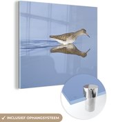 MuchoWow® Glasschilderij 90x90 cm - Schilderij acrylglas - Een tureluur en zijn weerspiegeling in het water - Foto op glas - Schilderijen