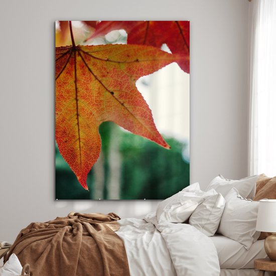 MuchoWow® Peinture sur verre 120x160 cm - Peinture sur verre acrylique - Automne - Rural - Feuilles - Saisons - Rural - Photo sur verre - Peintures