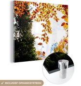 MuchoWow® Glasschilderij 90x90 cm - Schilderij acrylglas - Herfst - Bladeren - Natuur - Foto op glas - Schilderijen