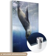 MuchoWow® Glasschilderij 60x90 cm - Schilderij acrylglas - Zeeleeuw duikt in water - Foto op glas - Schilderijen