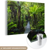 MuchoWow® Peinture sur verre 180x120 cm - Peinture sur verre - Chemin en bois à travers la jungle - Photo sur verre acrylique - Peintures