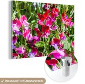 MuchoWow® Glasschilderij 150x100 cm - Schilderij acrylglas - Lathyrus bloemen in de tuin - Foto op glas - Schilderijen
