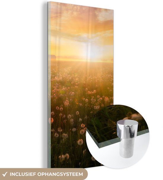 MuchoWow® Glasschilderij 60x120 cm - Schilderij acrylglas - Zonsondergang - Bloemen - Kleuren - Foto op glas - Schilderijen