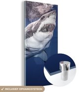 MuchoWow® Peinture sur Verre - Requin Humain - 80x160 cm - Peintures Acrylique - Photo sur Glas