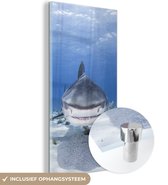 MuchoWow® Glasschilderij 80x160 cm - Schilderij acrylglas - Aanzwemmende haai - Foto op glas - Schilderijen
