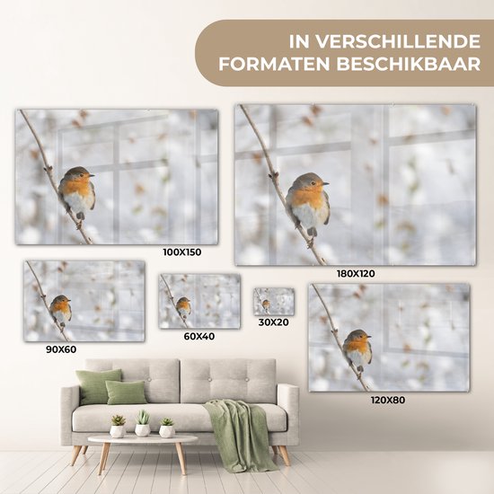 Robin sur une fine branche en plexiglas d'hiver 30x20 cm - petit - Tirage photo sur Glas (décoration murale en plexiglas)
