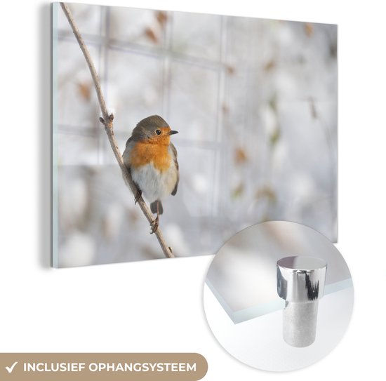 Robin sur une fine branche en plexiglas d'hiver 30x20 cm - petit - Tirage photo sur Glas (décoration murale en plexiglas)