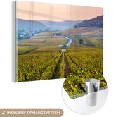 MuchoWow® Glasschilderij 180x120 cm - Schilderij acrylglas - De Beaune wijngaarden - Foto op glas - Schilderijen