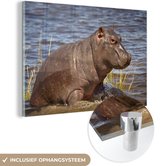 MuchoWow® Glasschilderij 120x80 cm - Schilderij acrylglas - Nijlpaard - Water - Kalf - Foto op glas - Schilderijen