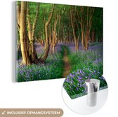 MuchoWow® Glasschilderij 120x80 cm - Schilderij acrylglas - Bos - Pad - Bloemen - Foto op glas - Schilderijen