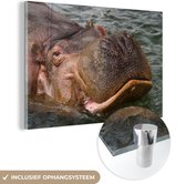 MuchoWow® Glasschilderij 30x20 cm - Schilderij acrylglas - Nijlpaard - Water - Foto op glas - Schilderijen