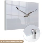 MuchoWow® Glasschilderij 180x120 cm - Schilderij acrylglas - Pontische meeuw tijdens de vlucht - Foto op glas - Schilderijen
