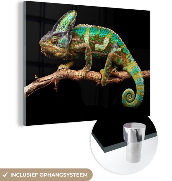MuchoWow® Glasschilderij 40x30 cm - Schilderij acrylglas - Kameleon - Tak - Groen - Foto op glas - Schilderijen
