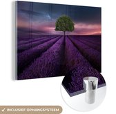 MuchoWow® Glasschilderij 30x20 cm - Schilderij acrylglas - Lavendel - Boom - Paars - Foto op glas - Schilderijen