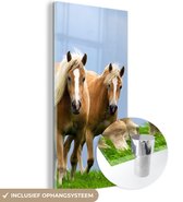 MuchoWow® Glasschilderij 40x80 cm - Schilderij acrylglas - Paarden - Gras - Lucht - Foto op glas - Schilderijen