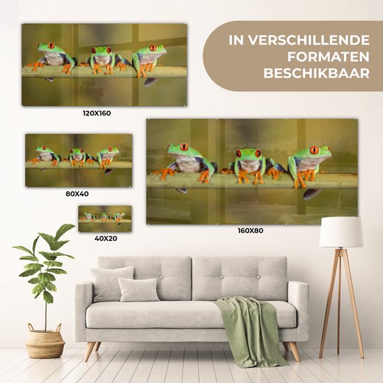 MuchoWow® Peinture sur Verre - Grenouilles - Branche - 40x20 cm - Peintures Acrylique - Photo sur Glas