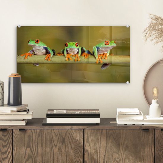 MuchoWow® Peinture sur Verre - Grenouilles - Branche - 40x20 cm - Peintures Acrylique - Photo sur Glas