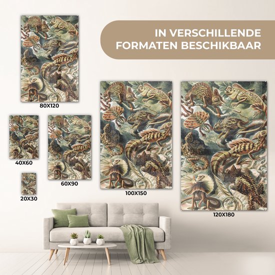 MuchoWow® Peinture sur verre 20x30 cm - Peinture acrylique sur verre - Vintage - Art - Ernst Haeckel - Salamandres - Animaux - Photo sur verre - Peintures