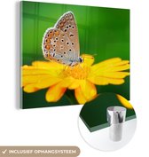 MuchoWow® Glasschilderij 40x30 cm - Schilderij acrylglas - Bloemen - Vlinder - Natuur - Foto op glas - Schilderijen