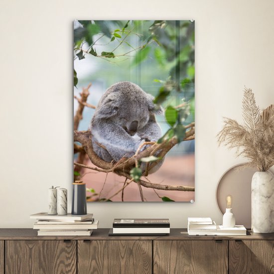 Koala assis avec des feuilles Glas 40x60 cm - Tirage photo sur Glas (décoration murale en plexiglas)