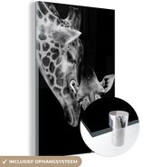 Glasschilderij - Foto op glas - Acrylglas - Wilde dieren - Giraffe - Familie - Zwart wit - 40x60 cm - Glasschilderij giraffe - Wanddecoratie glas - Decoratie woonkamer - Glasschilderij dieren