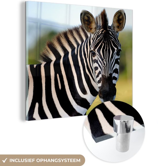 MuchoWow® Glasschilderij 50x50 cm - Schilderij acrylglas - Close-up zebra - Foto op glas - Schilderijen