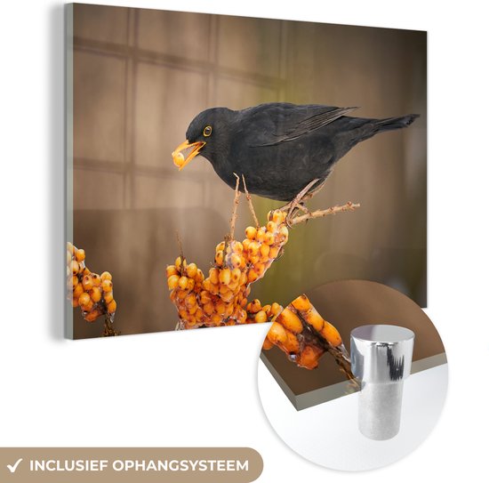 Peinture sur verre - Photo sur verre - Vogel - Merle - Hiver - Glace - Baie - Verre acrylique - 90x60 cm - Peinture sur verre oiseaux - Décoration murale - Peinture sur verre nature - Décoration murale - Salon