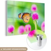 MuchoWow® Glasschilderij 90x60 cm - Schilderij acrylglas - Landelijk - Vlinder - Distel - Bloem - Foto op glas - Schilderijen